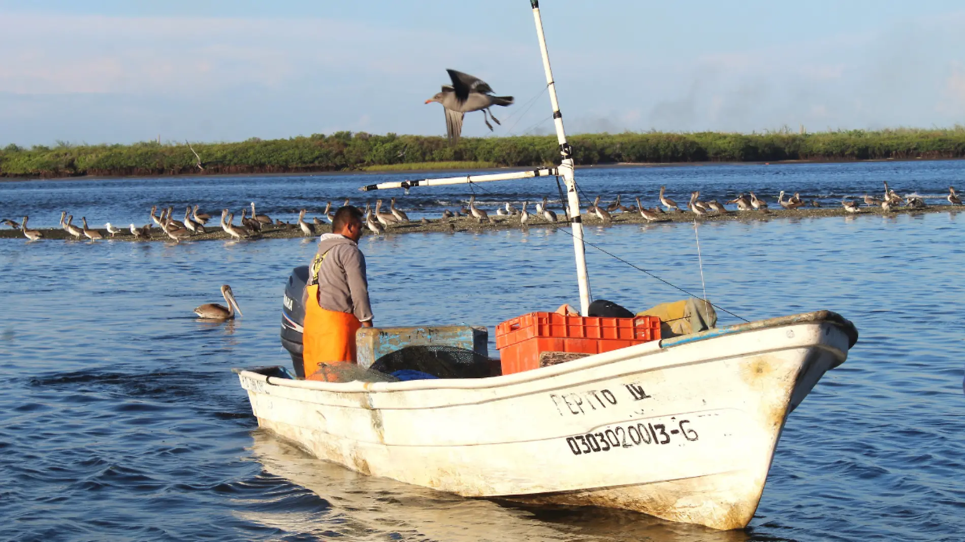 seguro de vida pescadores